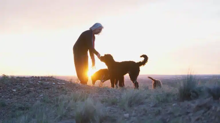 A Dog Can Make A Difference-Large